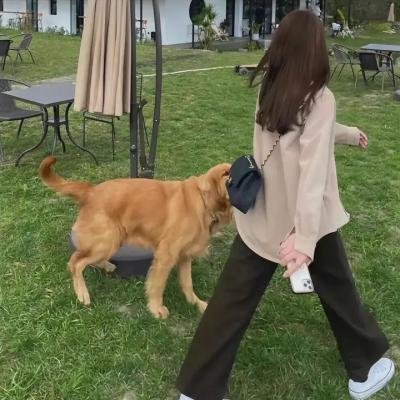 舞影人生